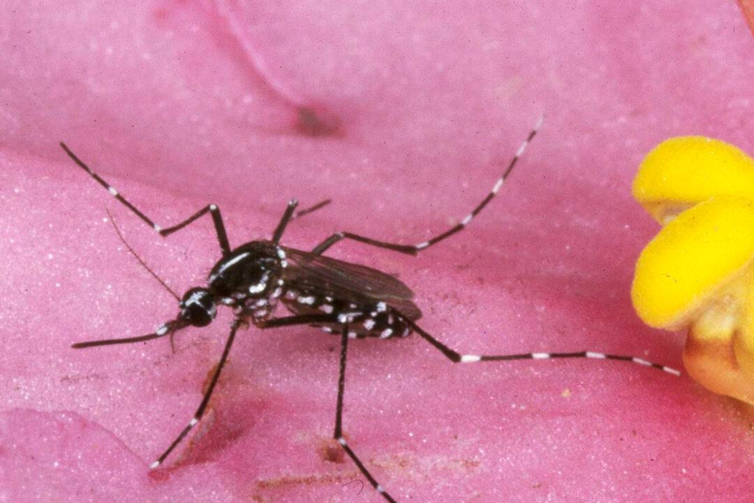 Case of Locally Acquired Malaria Appears in Another US State