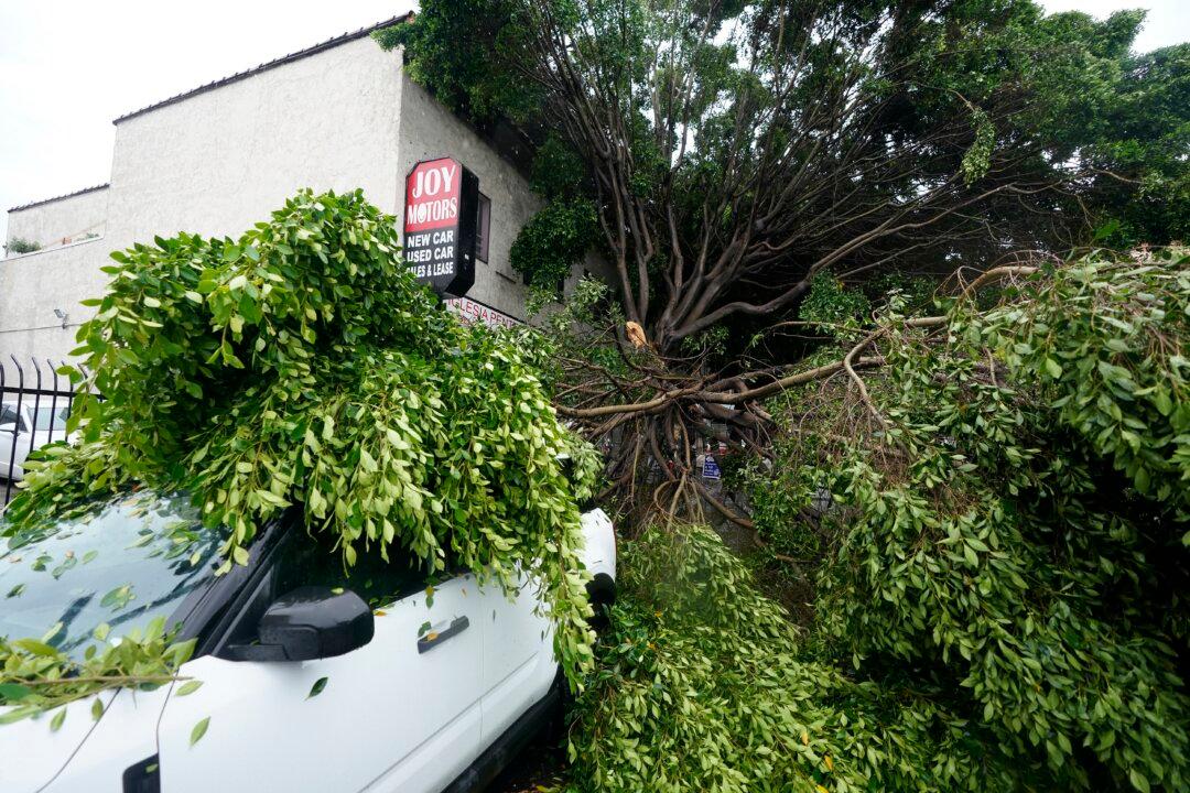 As Insurers Ditch California, Gov. Newsom Backs Speeding Up Rate Reviews