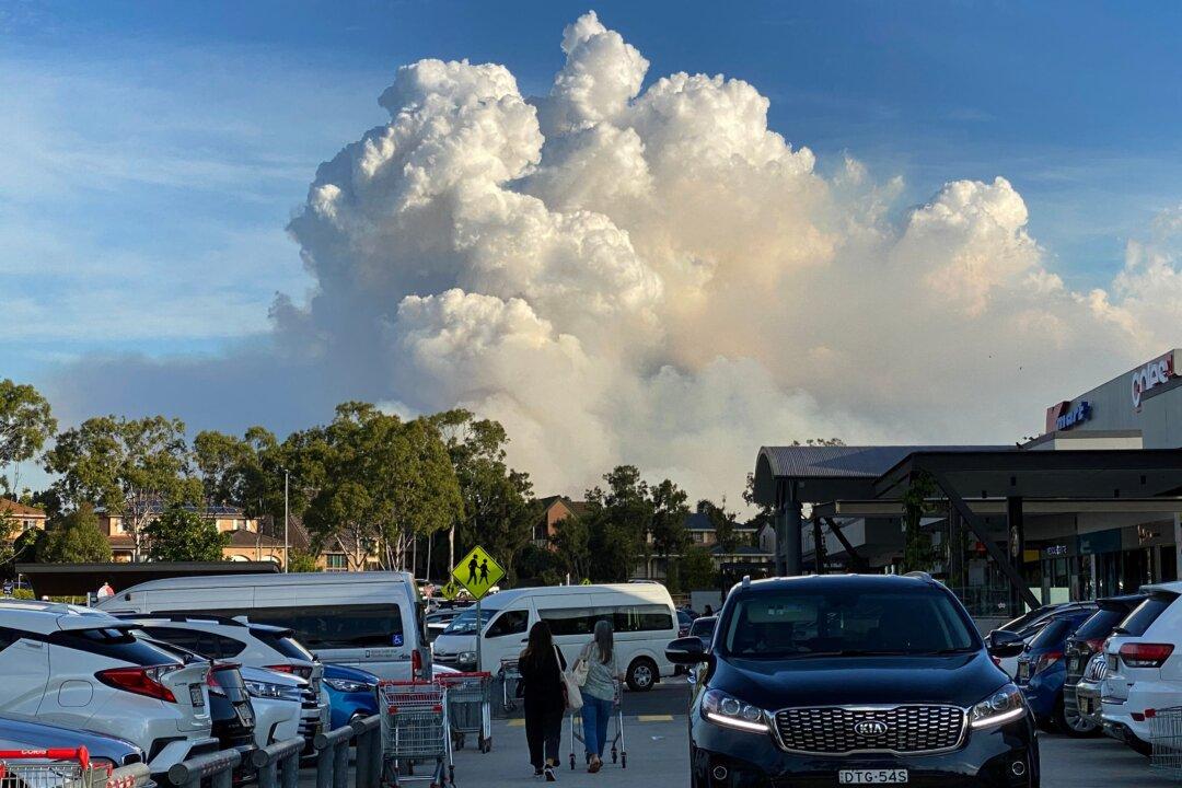 Insurance Chief Warns Increased Premiums on the Way