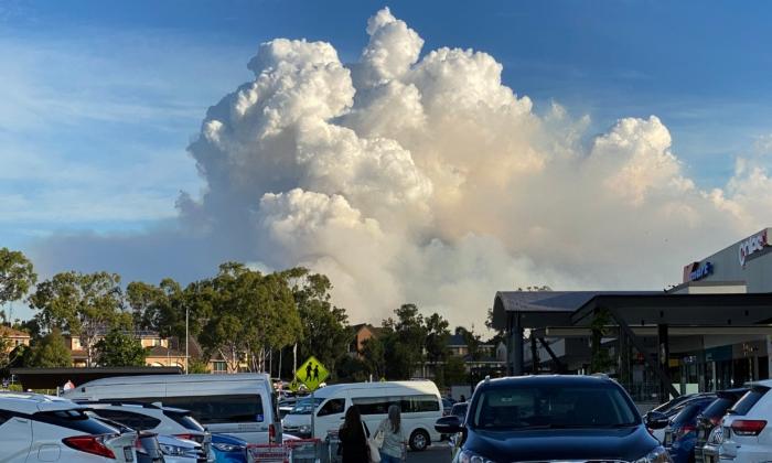 Bushfire Evacuees Return to Homes and Businesses