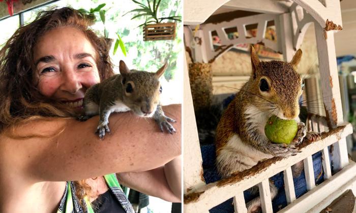 VIDEO: Rescued Squirrel Loves Visiting Florida Family Who Saved Him—Just to Hang Out and Make Mischief