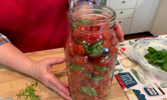Fermented Cherry Tomatoes and Basil