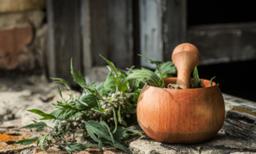 Botanical Medicine for a COVID-Vaccine-Injured Heart