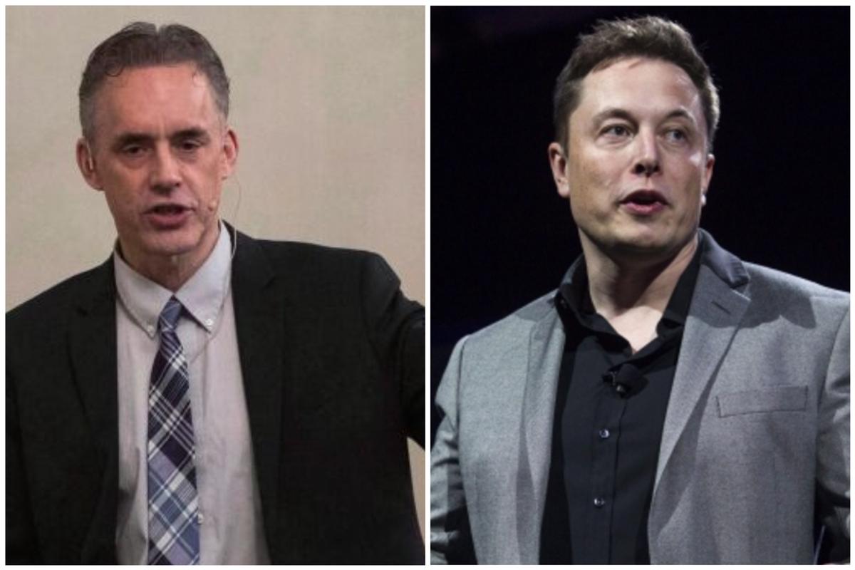 Elon Musk Weighs In on Jordan Peterson Court Case