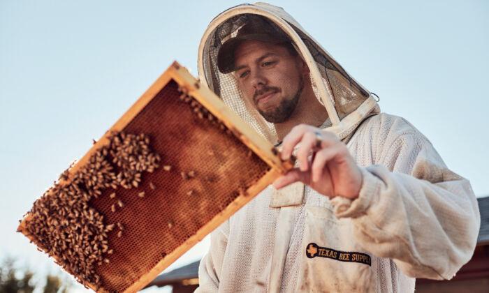 So You Want to Be a Beekeeper? What You Need to Know