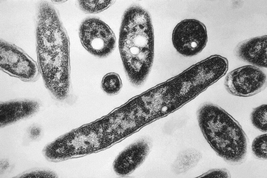Legionnaires’ Disease Warning Issued for Sydney Residents