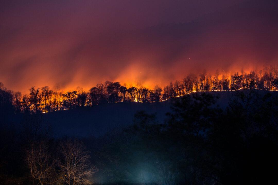 When Wildfire Comes: How to Prepare Before, During, and After the Blaze