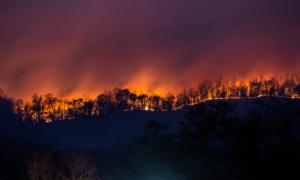 When Wildfire Comes: How to Prepare Before, During, and After the Blaze