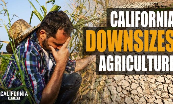 How California Farmers Are Taking Action to Capture Rainwater | Sohan Samran