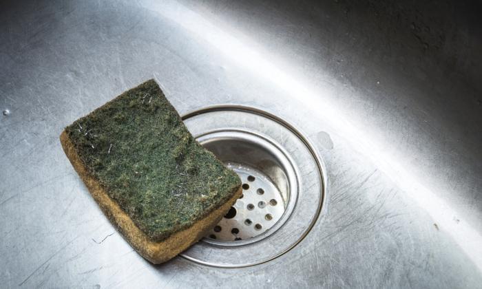How Often Should You Replace Your Kitchen Sponges?