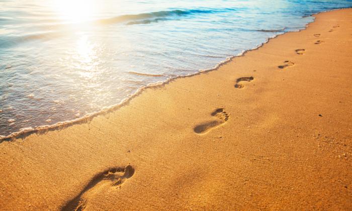 A Soul Refreshed: ‘Footprints on the Seashore’