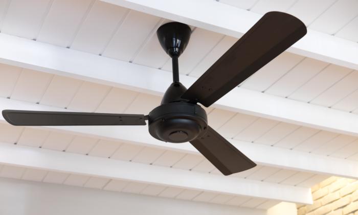 Biden Administration Proposes New Restrictions on Ceiling Fans