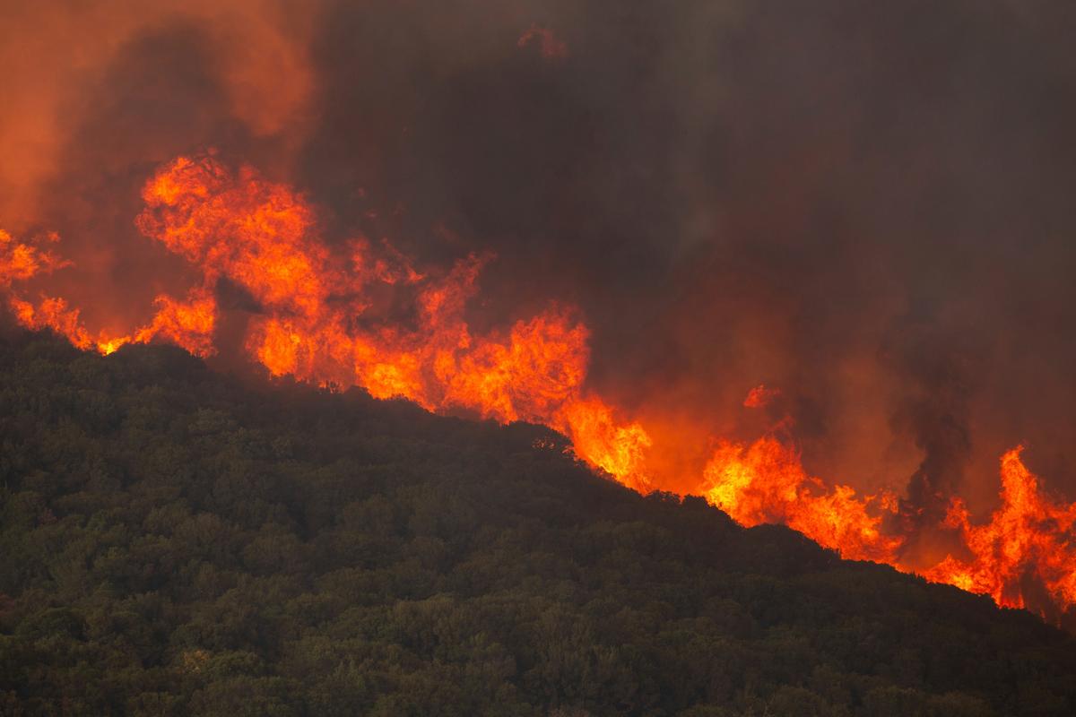 Greece Fire-Related Arrests Rise to More Than 160 as Firefighters Continue to Battle Wildfires