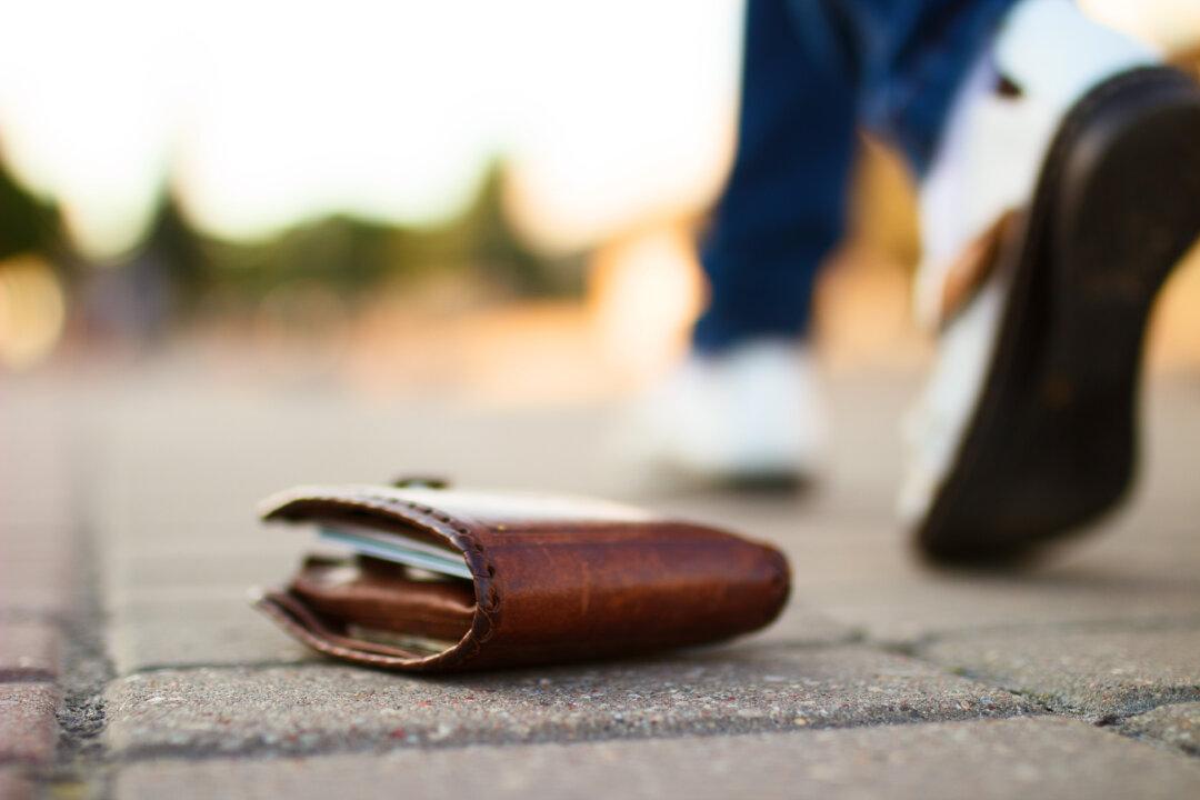 Lost Wallet, 529 Plans, and Dubious Credit