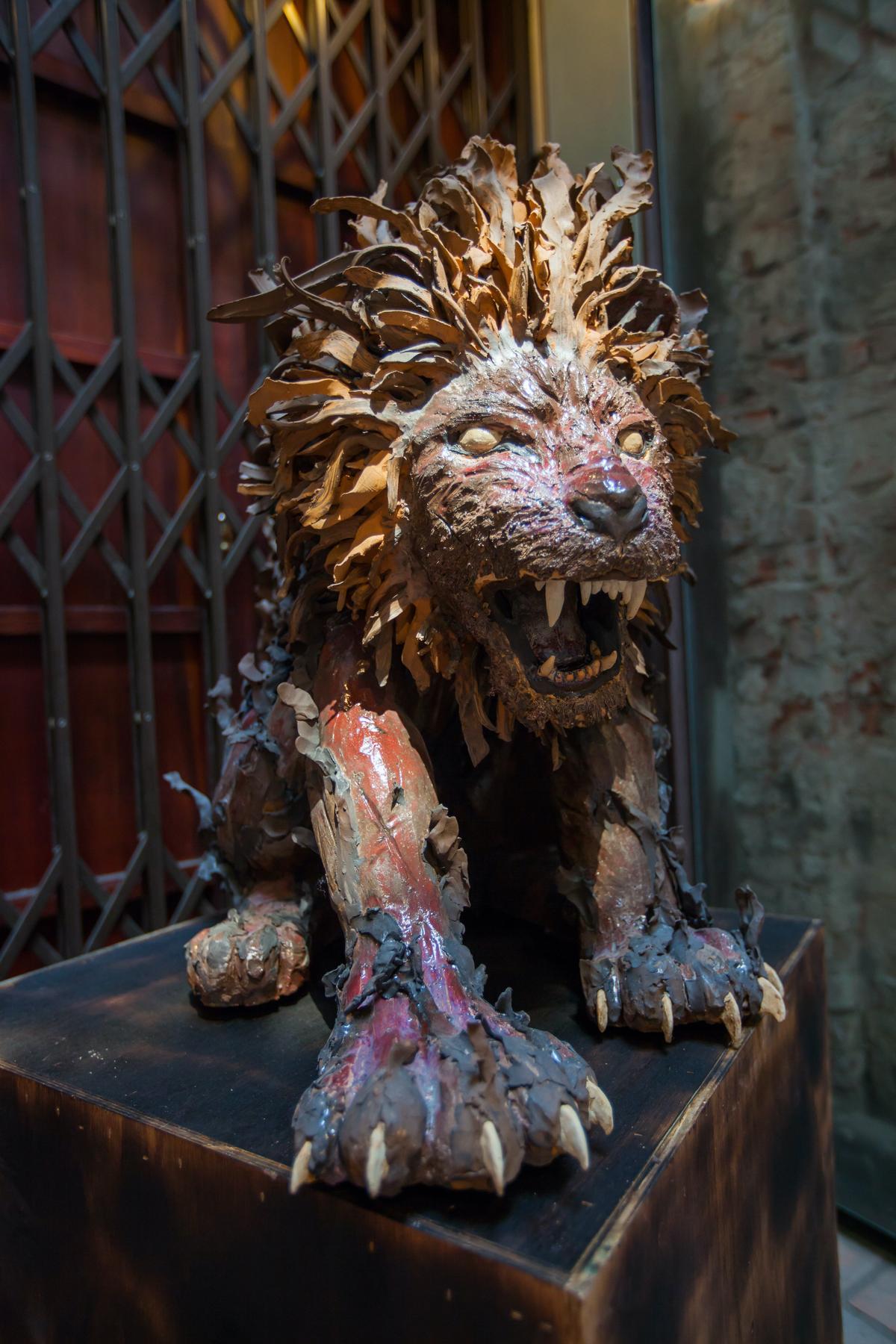 The injured lion. (Courtesy of Hsu Ting Chia)
