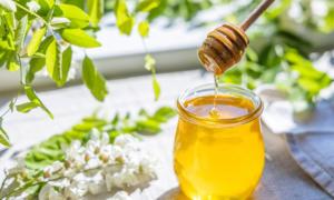 Nature’s Golden Treasure: 5 Incredible Health Benefits of Honey