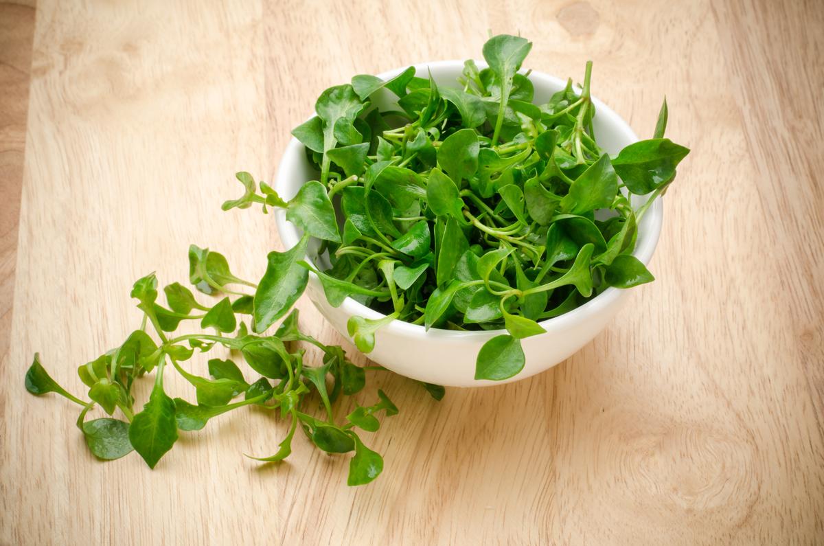 Watercress: The ‘Most Nutritious’ Vegetable, Lowers Chronic Disease Risks, Strengthens Bones, Improves Gut Health