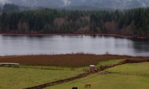 BC Farmers Say Groundwater Use Rules Are Putting Food Security at Risk