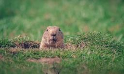 Are We Facing Lockdowns 2.0?