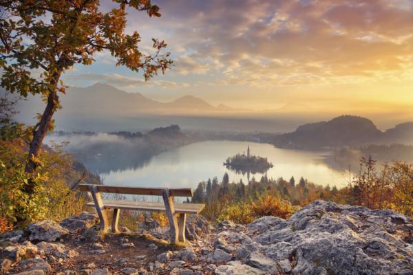 (Rudy Balasko/Shutterstock)