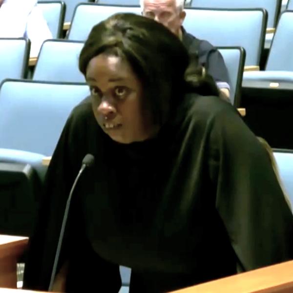 Sarah Parker speaks during public comments during the August 23, 2023 meeting of the Florida State Department of Education (Screenshot/The Florida Channel).