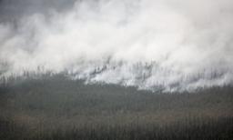 'Stand Tall': NWT Officials Preparing for a Battle Against Hay River Wildfire