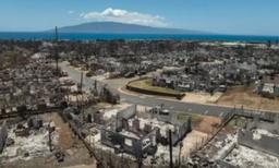 After the Wildfires: Hawaii Cracking Down on Predatory Land Offers on Maui