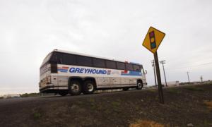 Wrong-Way Crash With Greyhound Bus Leaves One Dead, 18 Injured in Maryland
