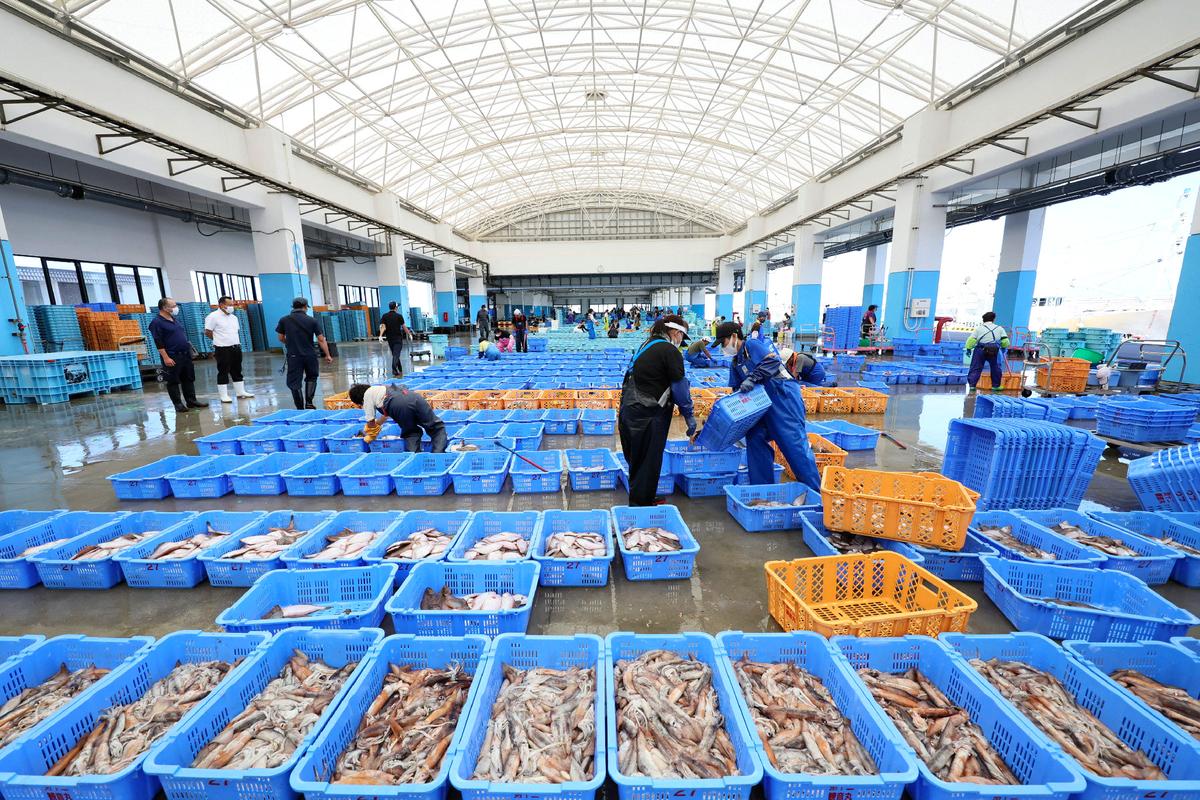 Fishery workers sort out seafood caught in offshore trawl fishing at Matsukawaura port in Soma City, Fukushima prefecture, on Sept. 1, 2023, about a week after the country began discharging treated wastewater from the TEPCO Fukushima Daiichi nuclear power plant. (JIJI Press/AFP via Getty Images)