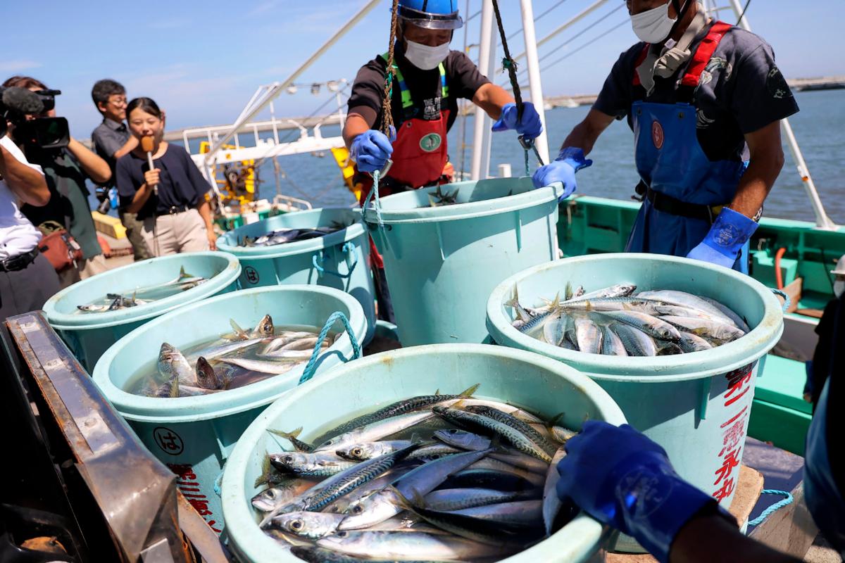 Fishery workers unload seafood caught in offshore trawl fishing at Matsukawaura port in Soma City, Fukushima Prefecture, Japan, on Sept. 1, 2023. (JIJI Press/AFP via Getty Images)