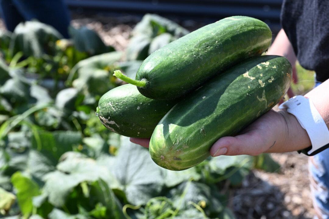 Produce Grown on This Campus Goes to Hungry Students (+ Recipes)