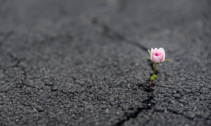 5 Ways to Turn Rejection Into Resilience