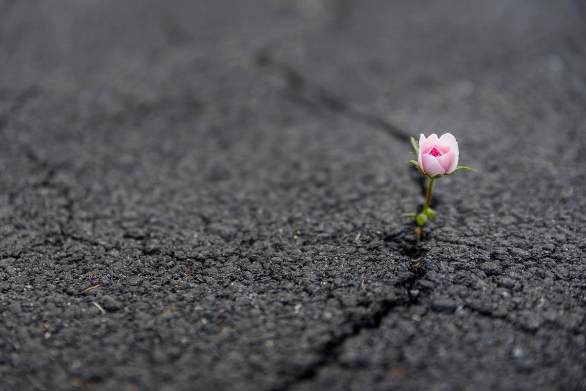 5 Ways to Turn Rejection Into Resilience