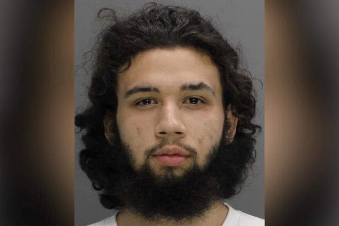 Man Connected to Deadly NY Stabbing Is Illegal Immigrant: County Executive