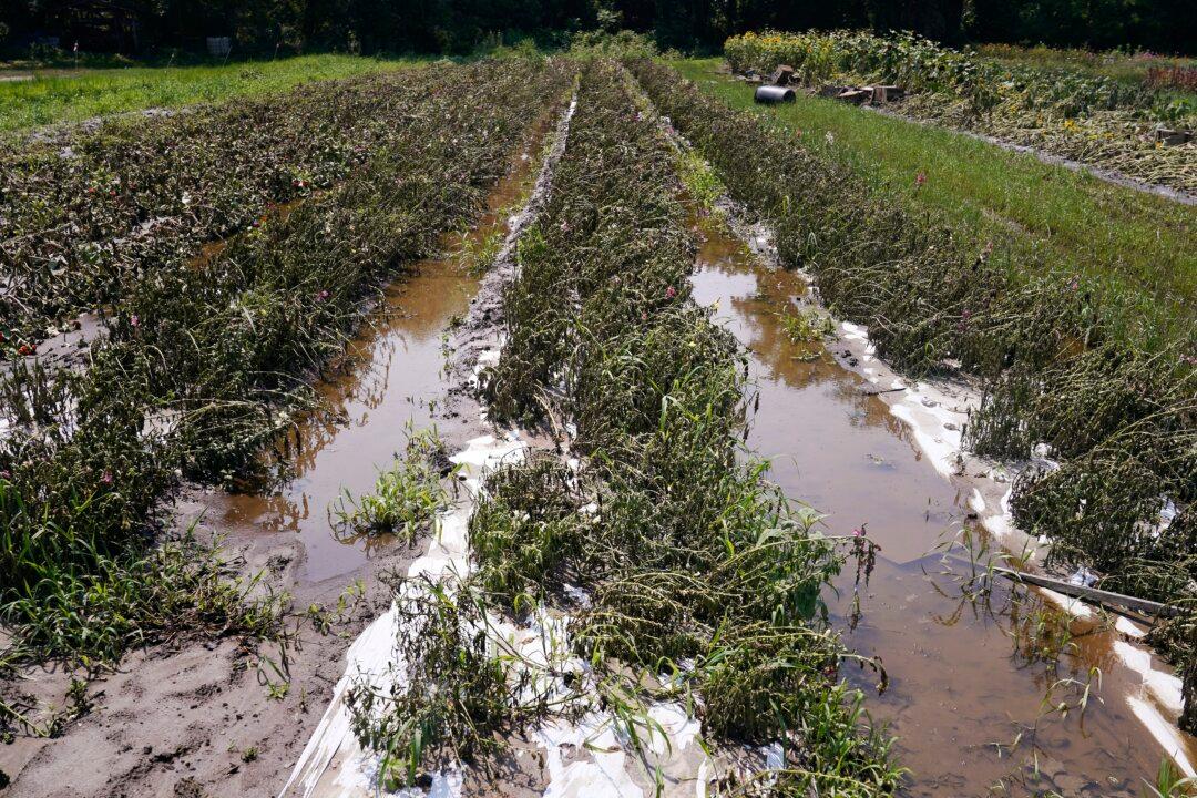 USDA Designates July Flooding a Disaster in Vermont, Making Farmers Eligible for Emergency Loans