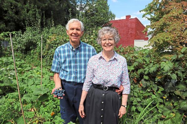 Evan Stoddard and his wife, Janet, have been growing Concord grapes in their garden in the South Side Flats neighborhood of Pittsburgh for nearly 50 years. (Gretchen McKay/Pittsburgh Post-Gazette/TNS)