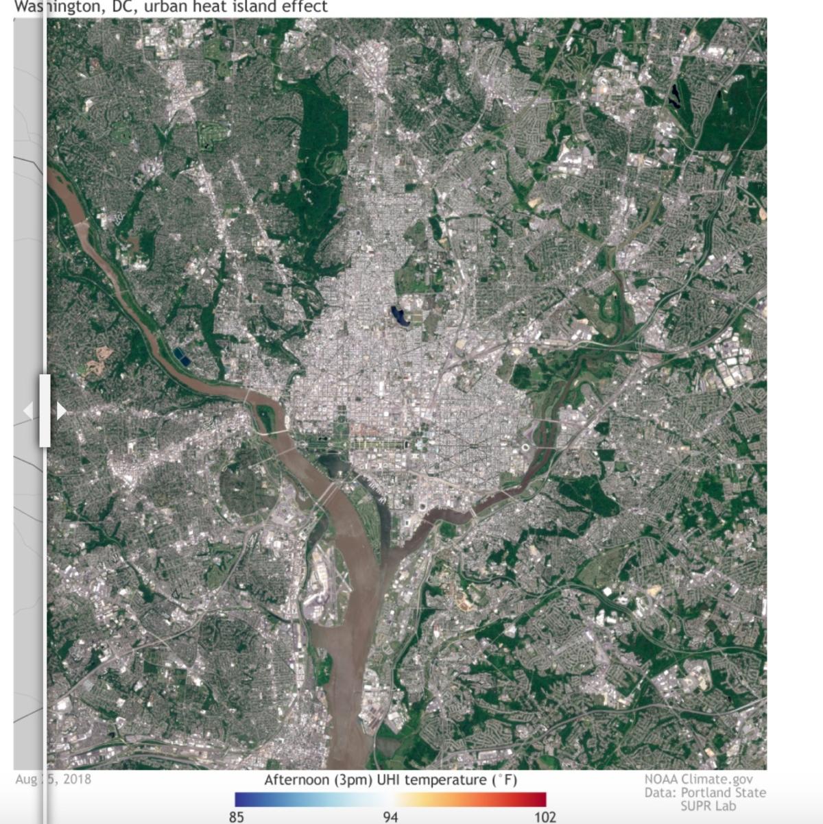 A satellite photo of Washington. (Screenshot/National Oceanic and Atmospheric Administration)