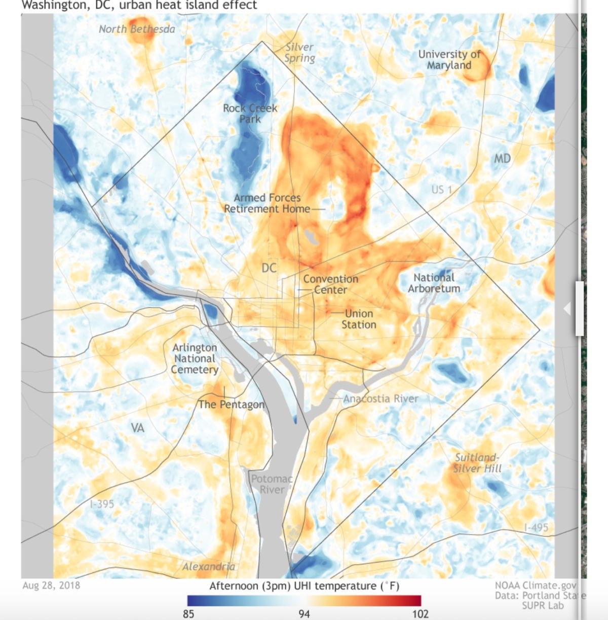 A heat map of Washington shows the heat island effect, as urban areas have higher temperatures (red), while green parkland and waterways have lower temperatures (blue). (Screenshot/National Oceanic and Atmospheric Administration)