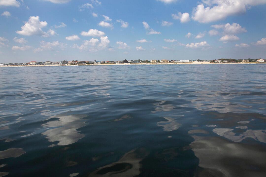 Environmentalists Seek More Time to Review ‘Reckless’ Offshore Wind Development