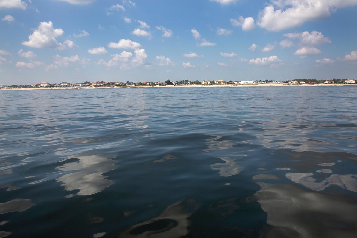 Environmentalists Seek More Time to Review ‘Reckless’ Offshore Wind Development
