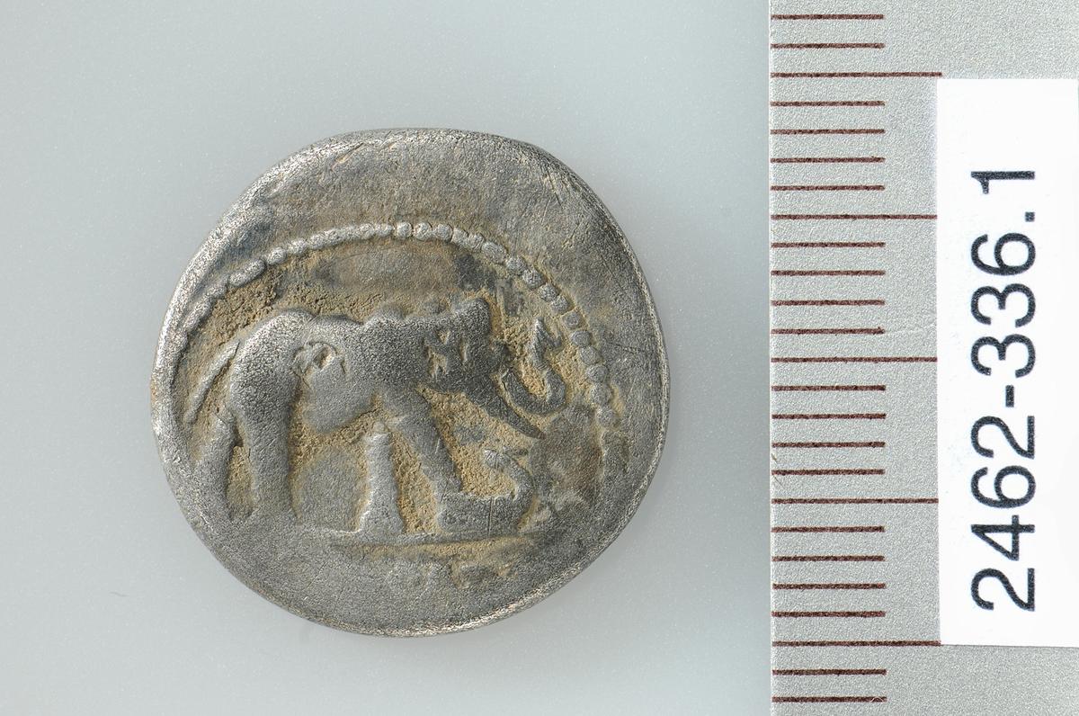  An artifact found at the dig site at Äbnetwald. (© ADA Zug, Res Eichenberger)