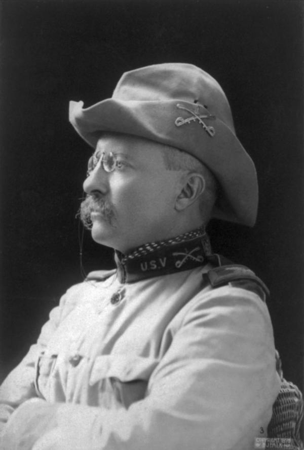 Col. Theodore Roosevelt, 1898, by B.J. Falk. Library of Congress. (Public Domain)