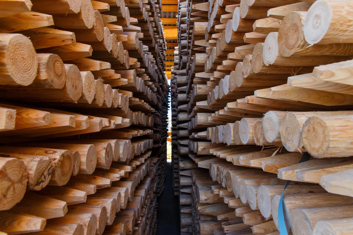 Rayonier and PotlatchDeltic Merge to Form 2nd-Largest Timber Company in North America