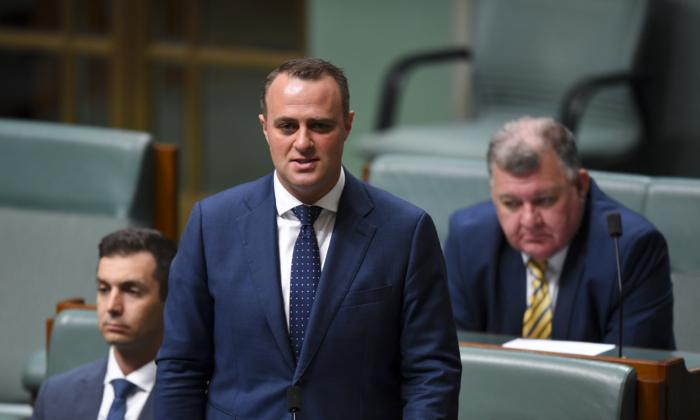 Former Liberal Minister Tim Wilson Set for Rematch With Zoe Daniel in Goldstein