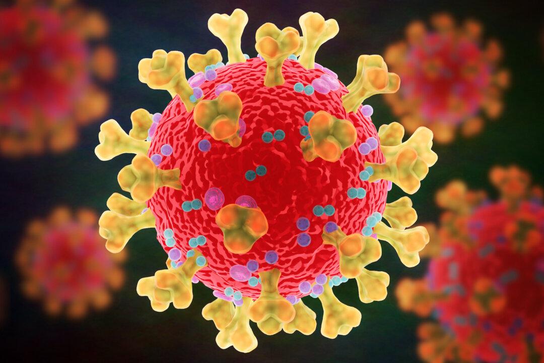 Australian, US Scientists Team up for a ‘Safe and Effective’ African Swine Fever Vaccine