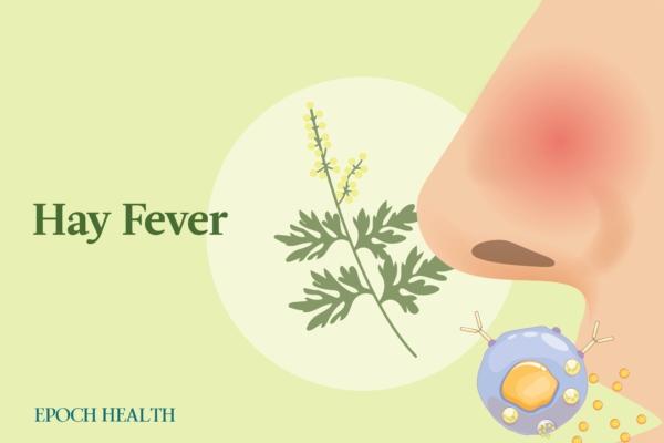 The Essential Guide to Hay Fever (Allergic Rhinitis): Symptoms, Causes, Treatments, and Natural Approaches