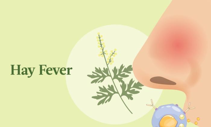 Hay Fever (Allergic Rhinitis): Symptoms, Causes, Treatments, and Natural Approaches