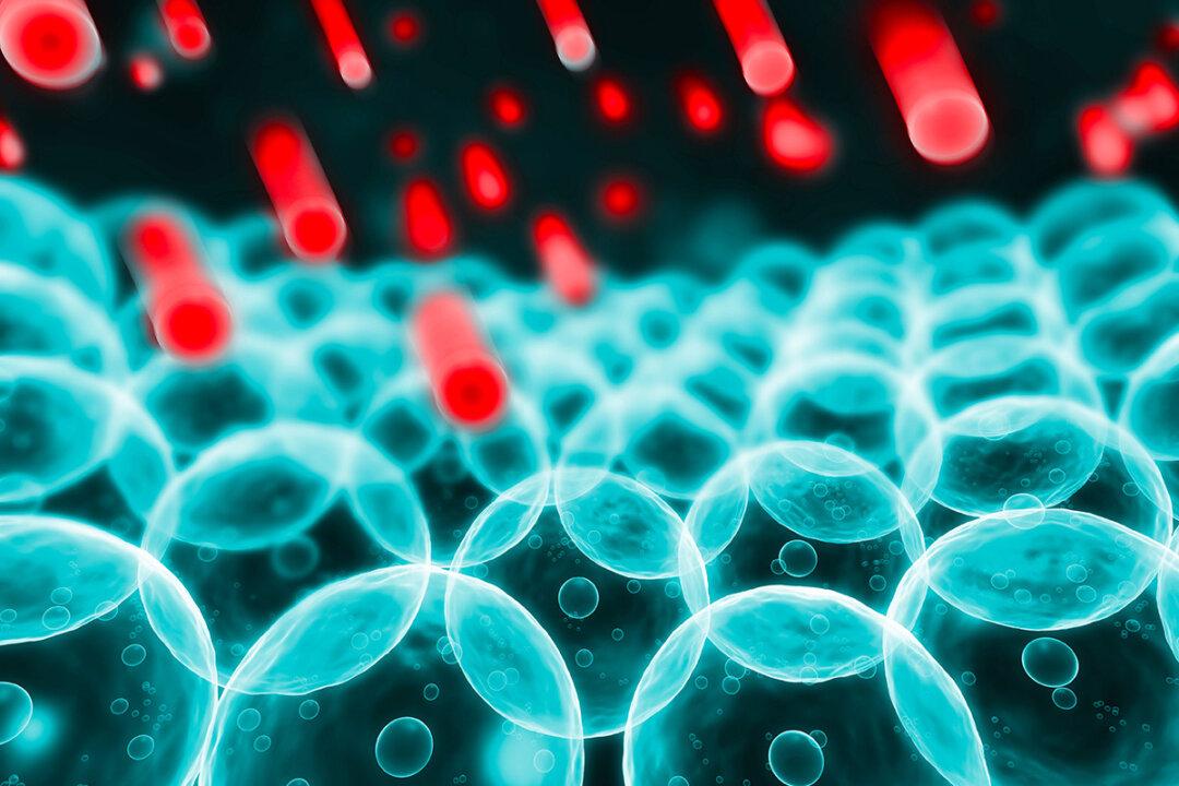 The ‘Cause’ of Many Diseases May Have Been Misunderstood