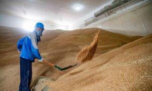 ANALYSIS: China’s Xi Jinping Promotes Food Security Strategy