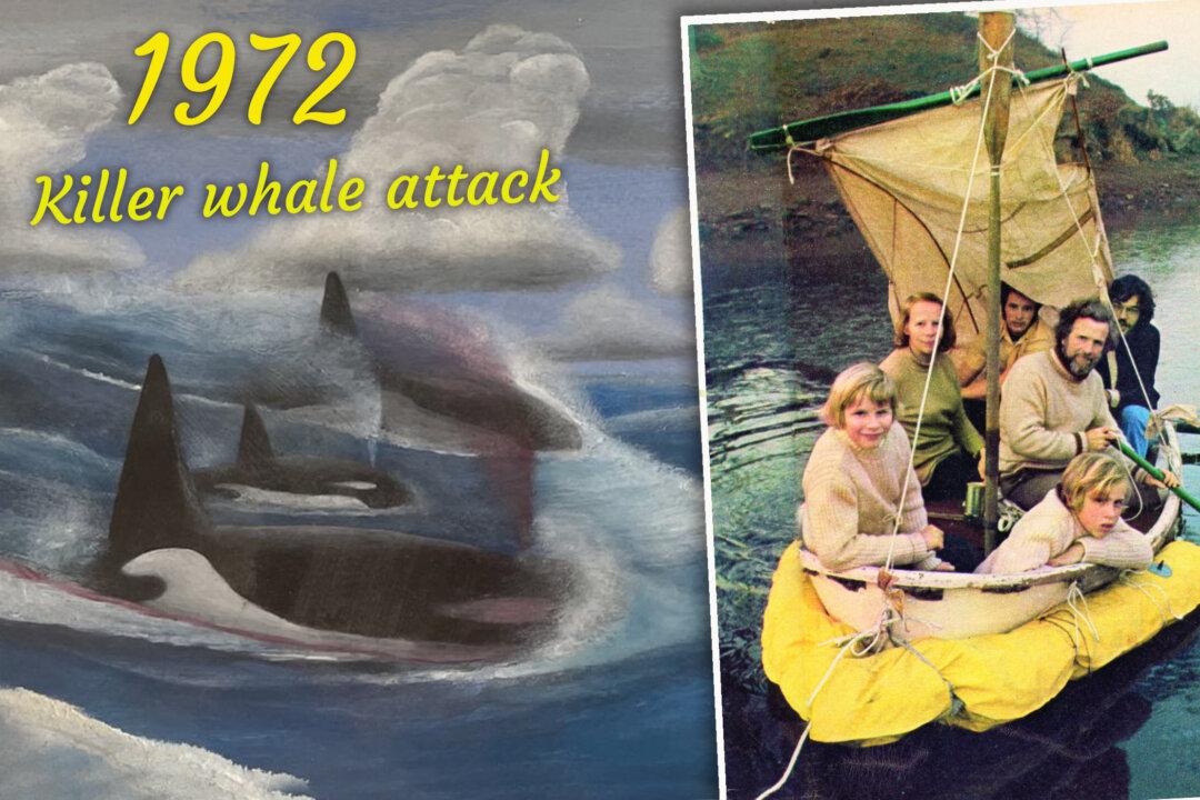 Family Shipwrecked After Killer Whale Attack Survives 38 Days at Sea Drinking Turtle Blood